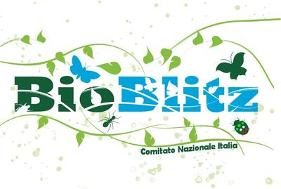 bioblitz logo